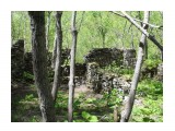 Таинственные развалины большого дома за Хомутовскими скалами

Просмотров: 1458
Комментариев: 3