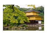 Название: сады киото
Фотоальбом: JAPAN | KIOTO
Категория: Туризм, путешествия
Фотограф: © marka

Просмотров: 1142
Комментариев: 0