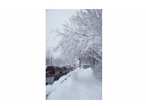 Город в снежных объятьях
Фотограф: VictorV

Просмотров: 1549
Комментариев: 0