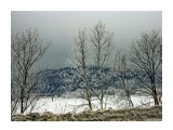 Зима
Фотограф: NIK

Просмотров: 446
Комментариев: 0