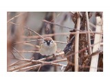 Самый страшный птиц  в лесу )))
Фотограф: VictorV

Просмотров: 396
Комментариев: 0
