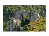 каменное гнездо
Фотограф: Alexsander Semenov

Просмотров: 340
Комментариев: 0