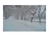 В снежной пелене
Фотограф: VictorV

Просмотров: 508
Комментариев: 0