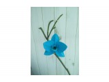 резинки орхидея
сделано из фоамирана

Просмотров: 2185
Комментариев: 0