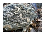 Отпечаток древней змеи на камне
Район Остромысовки

Просмотров: 4892
Комментариев: 0