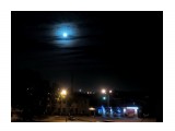 голубая луна

Просмотров: 624
Комментариев: 0