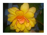 Название: WP_20170818_022
Фотоальбом: Мои цветы
Категория: Цветы

Фотокамера: Nokia - Lumia 720
Диафрагма: f/1.9
Выдержка: 3160/1000000



Просмотров: 431
Комментариев: 0