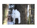 Снежный кот

Просмотров: 130
Комментариев: 2